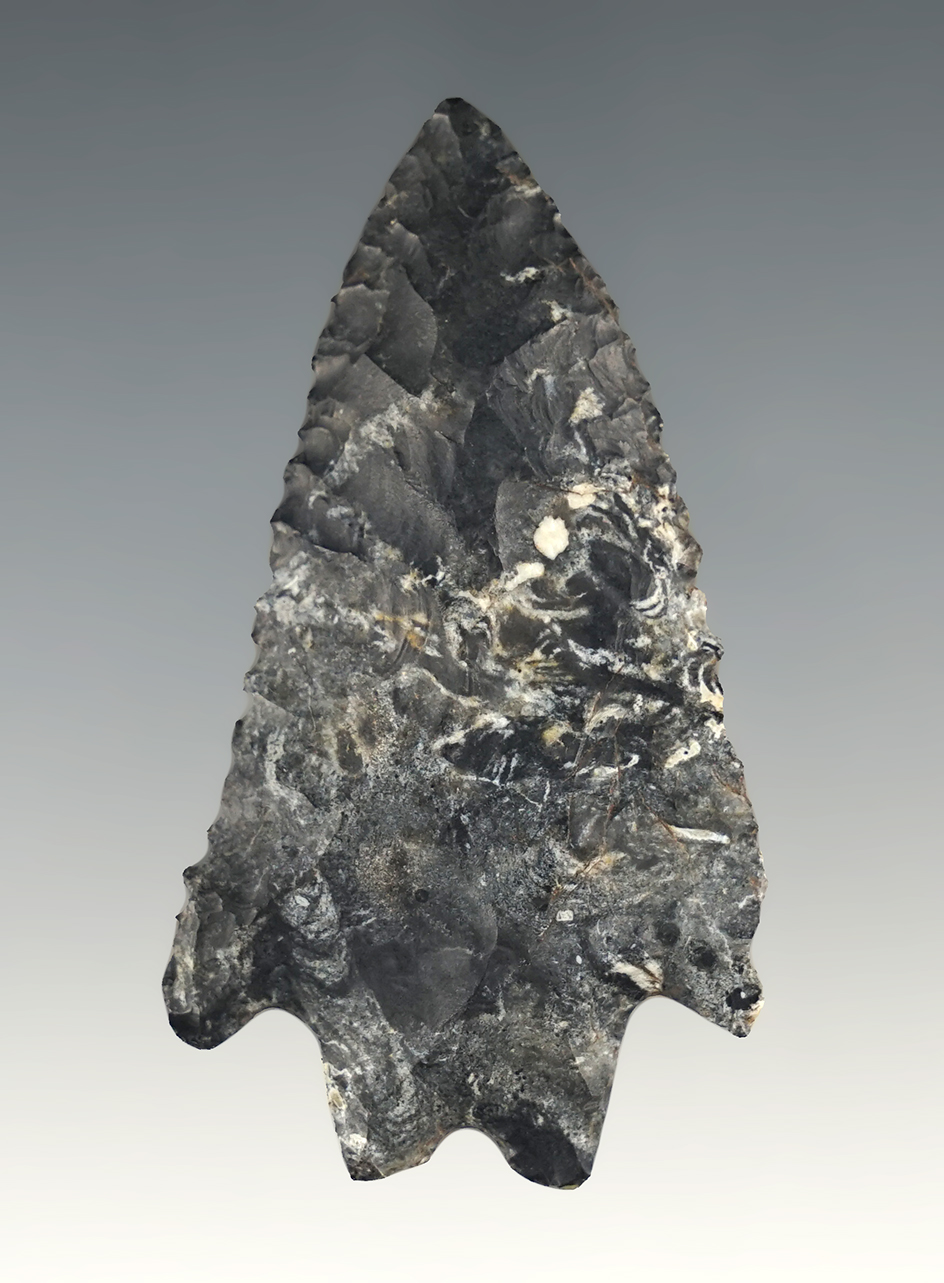 Finely serrated 2 3/8" Kirk Bifurcate found in Ohio. Made from nicely mottled Coshocton flint.