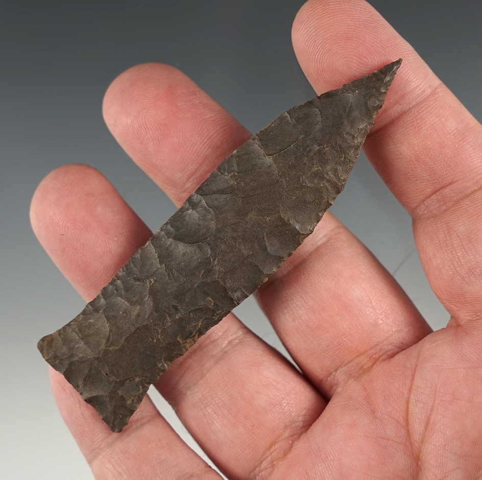 Fine 3 7/16" Copena with a sharp needle tip made from a deep chocolate-colored Dover.