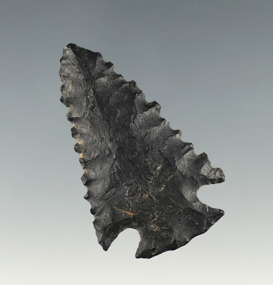 1 1/2" Serrated Coshocton Point found in the Southern Ohio River area. Ex. McKeen.