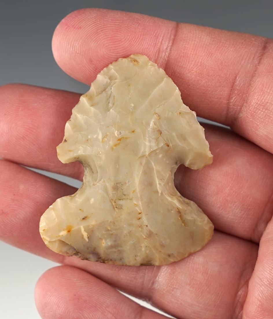 1 15/16" Archaic Bevel anciently worked down almost to exhaustion. Delaware Co., Ohio.