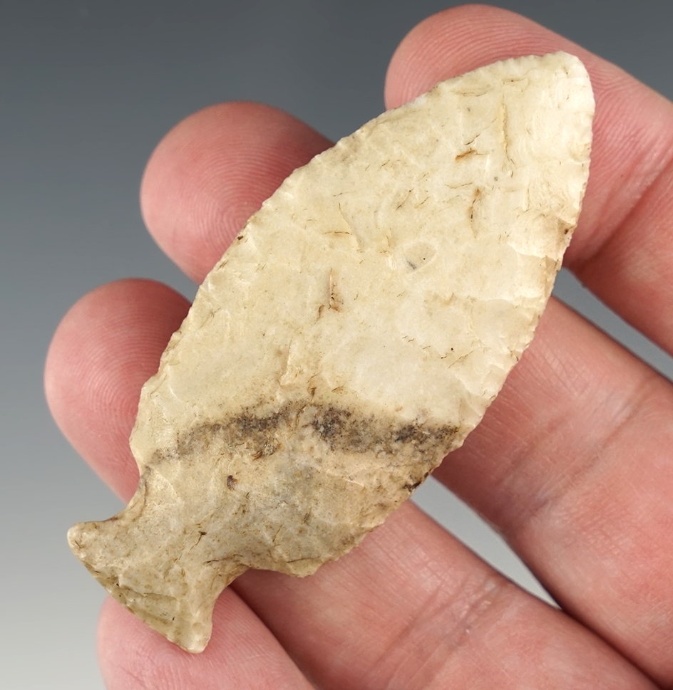 2 5/8" Table Rock with nice basal polish. Good example. Found in Southern Ohio.