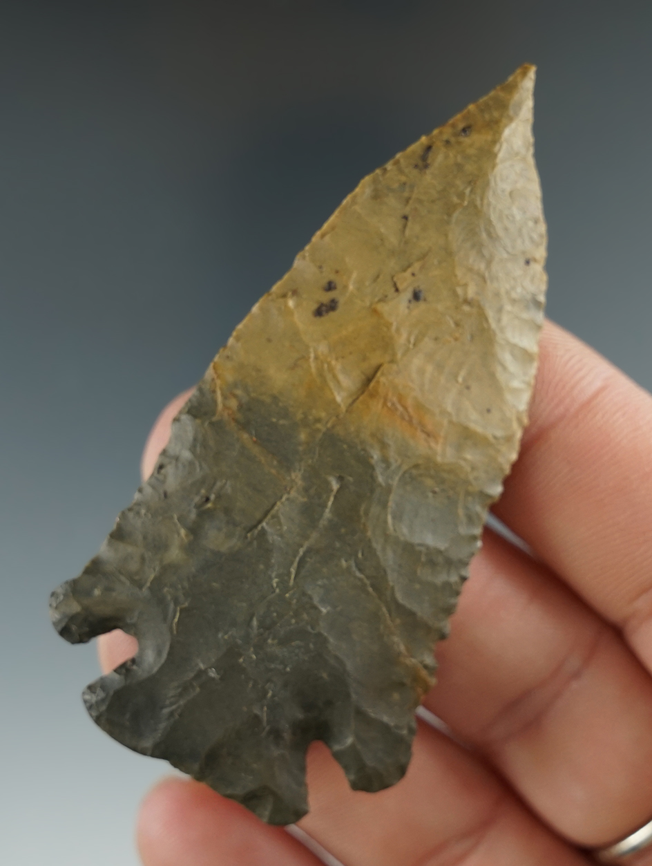 Excellent style on this needle tip 2 3/4" Cornernotch found in Kentucky.