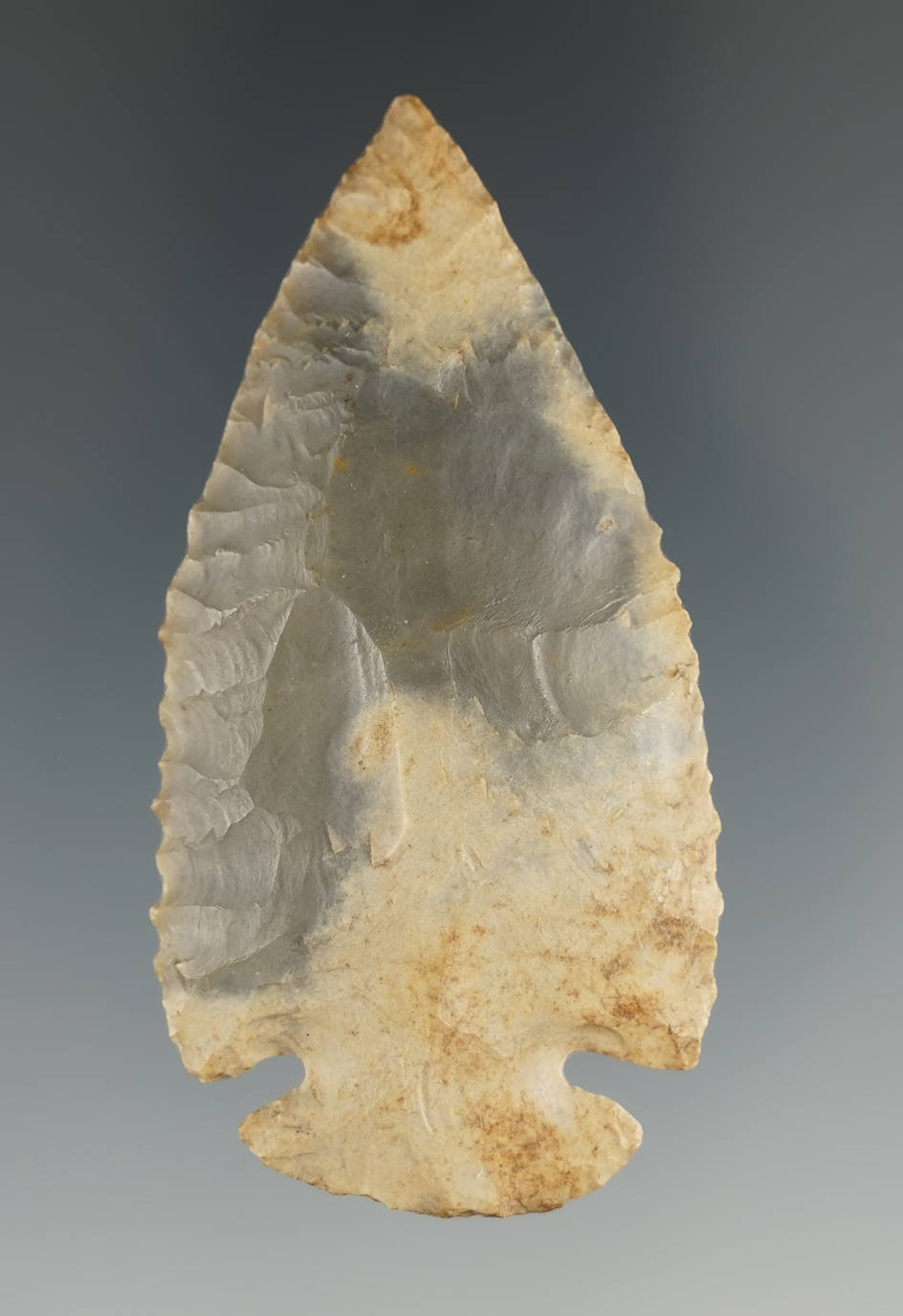 2 5/8" Dovetail found in Calhoun Co., Illinois. Ex. Pence Collection.