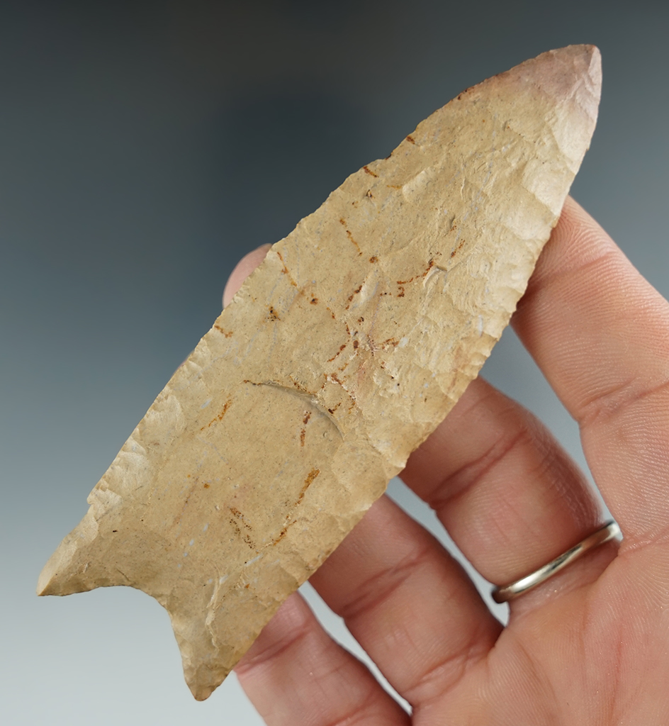 3 15/16" Clovis made from Ft. Payne Chert, found in Robertson Co., Tennessee. 3 COAs.