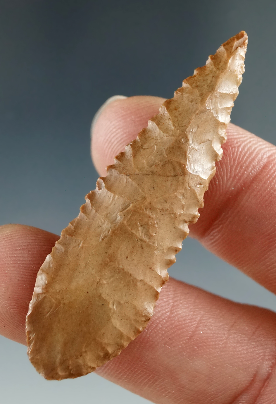 2" Cascade Serrated Leaf Blade, made from Yellow Jasper. Found near the Columbia River.