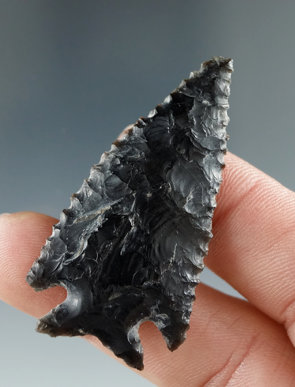 1 7/8" Serrated Elko Eared made from Obsidian, found in the Great Basin, Oregon.