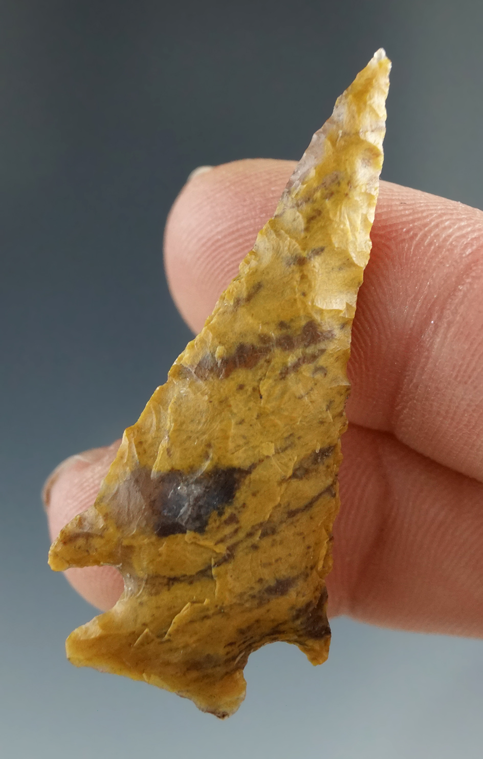 1 3/4" Snake River Dart made from Yellow-Brown Jasper, found near the Columbia River.