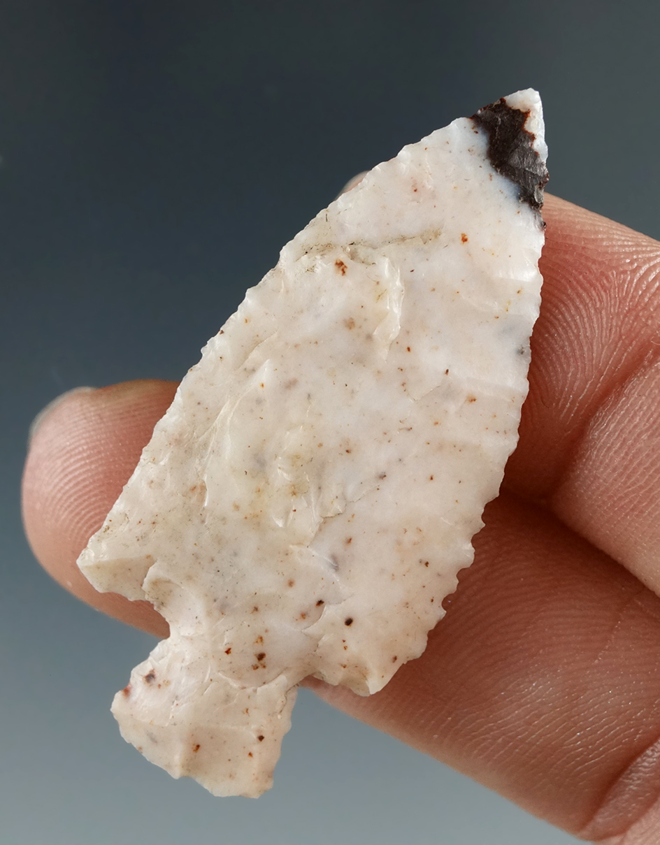 1 3/4" Stemmed Point made from White Agate with a brown tip. Found near the Columbia River.