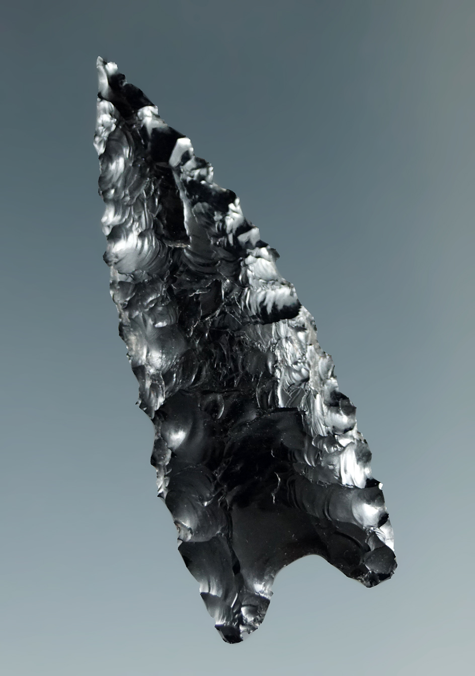 1 1/2" Humbolt Concave Base, nicely serrated, made from Obsidian.  Great Basin, Oregon.