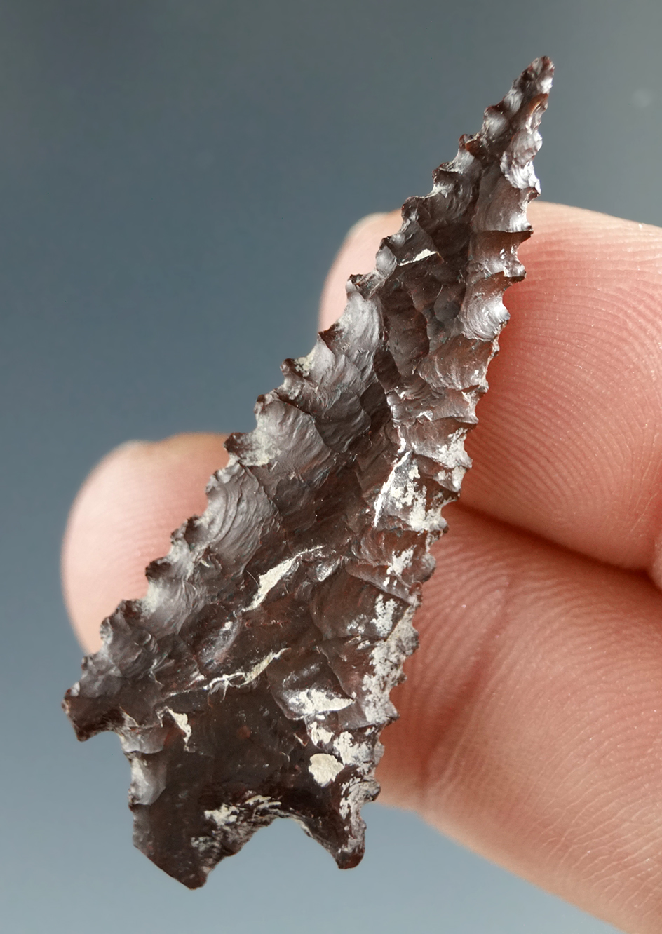 1 5/8" Rabbit Island, serrated edges, made from Brown Jasper, found near the Columbia River.