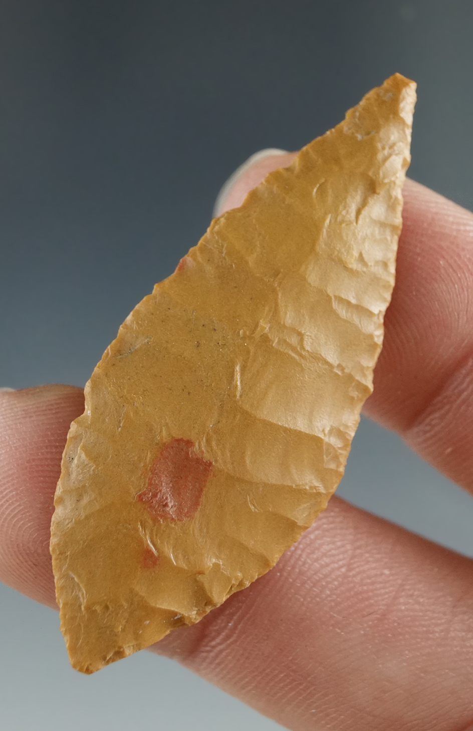 1 7/8" Cascade Leaf Blade made from Yellow Jasper, found near the Columbia River.