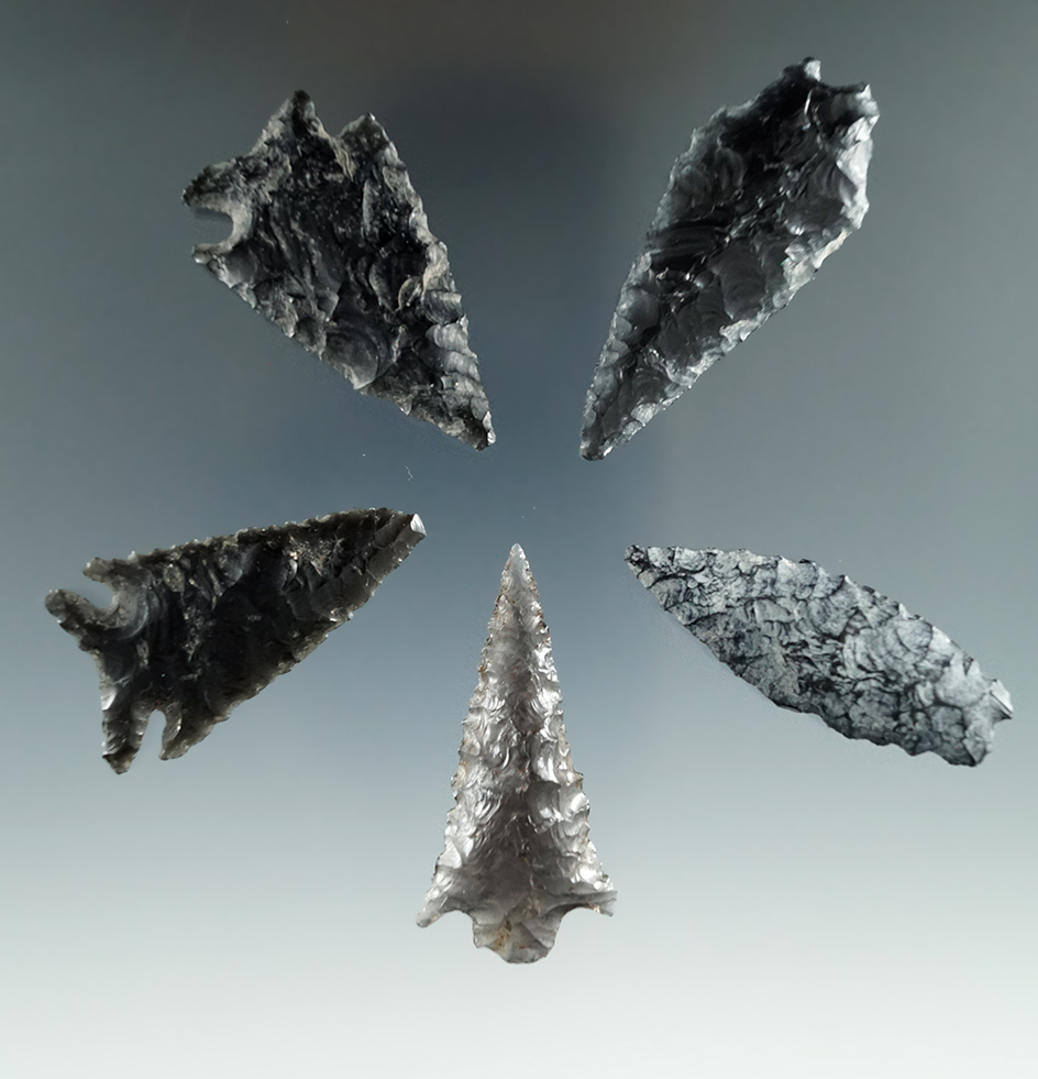 Five very nice Obsidian Points, longest is 1 7/8", found in the Great Basin, Oregon.