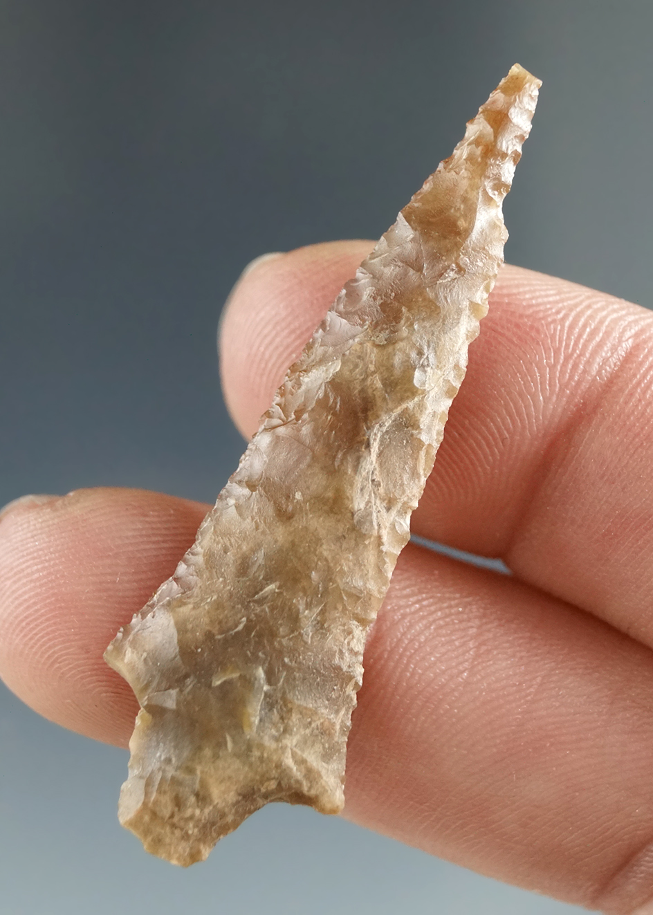 1 3/4" Rabbit Island made from Translucent Brown Agate, found near the Columbia River.