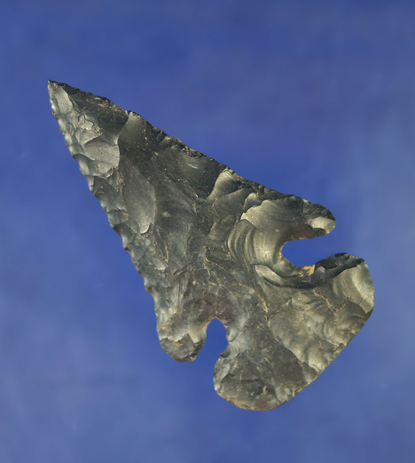 3 1/4" wide base Coshocton Flint Thebes Bevel found in Seneca Co.,  Ohio.