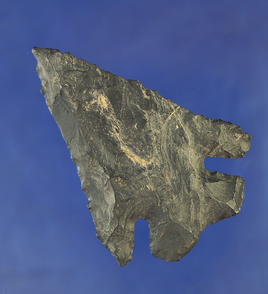 2 3/8" Coshocton Flint Archaic Thebes bevel found in Ohio.