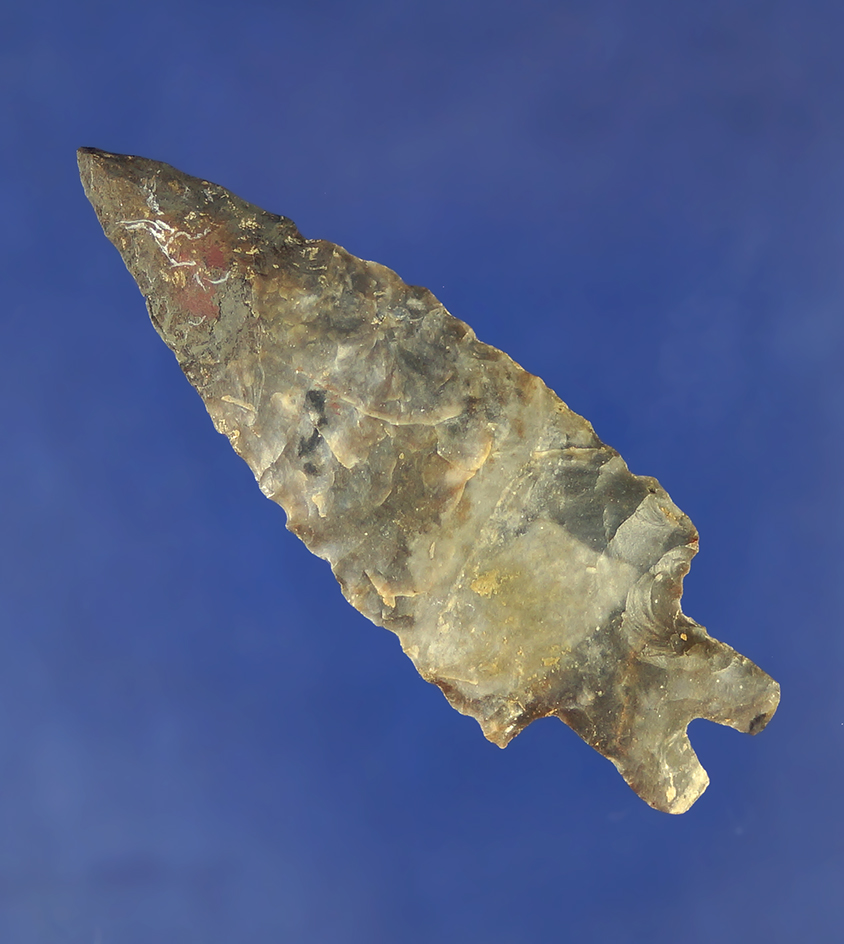 2 5/8" bifurcate found in Ohio with restoration to 1/2 inch of tip.