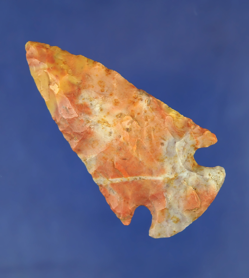 2 1/2" highly colored red, gold and blue Flint Ridge Flint Hopewell point found in Richland Co.,  Oh
