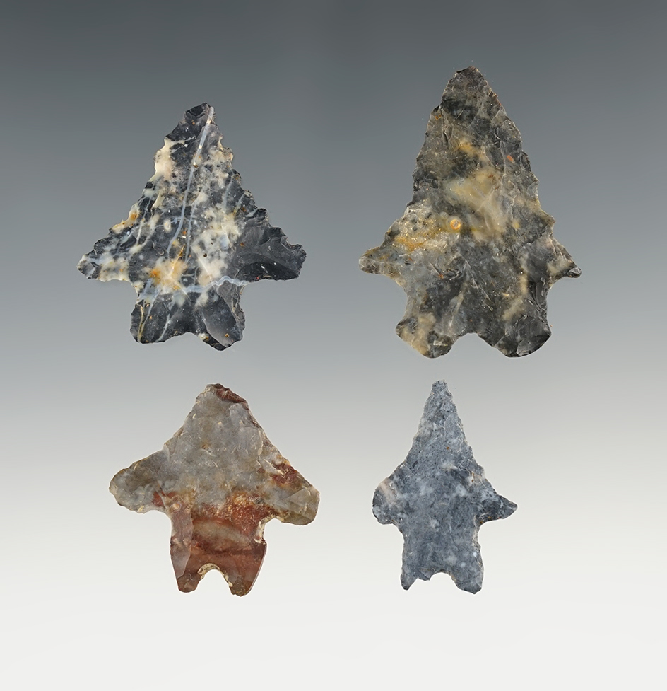 Set of 4 Bifurcated points found in Ohio. All are in good condition. The largest is 1 3/4".