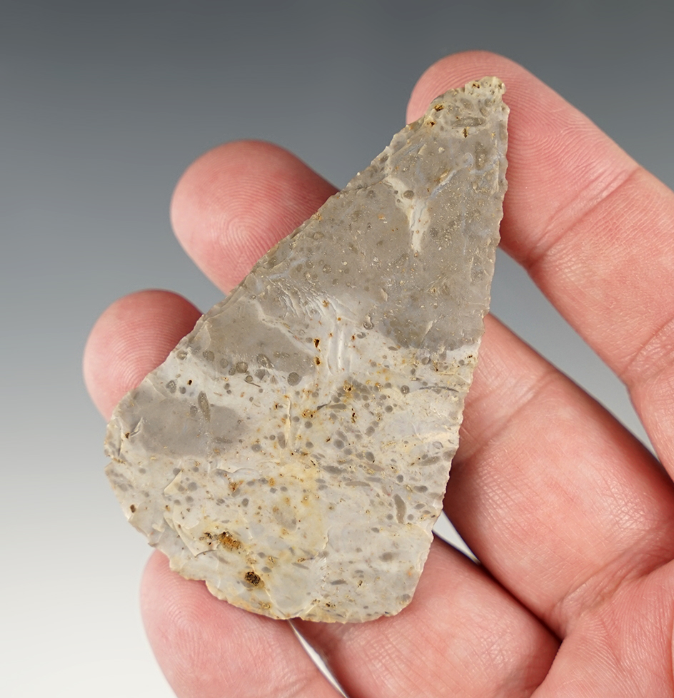 Amazingly thin 2 13/16" Blade found around Flint Ridge, Licking Co., Ohio. Ex. Copeland.