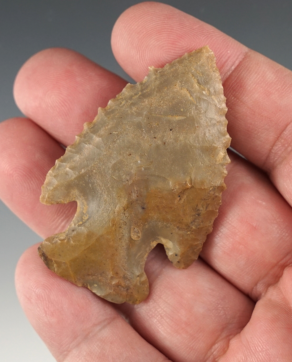 2 5/16" Kentucky Archaic Bevel with fine serrations.