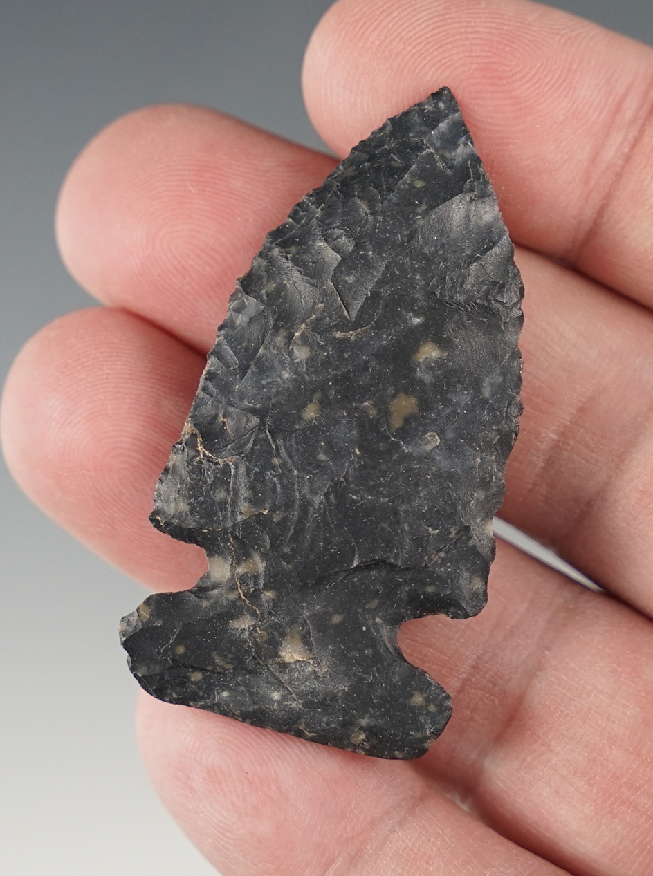 2 1/16" Ohio Archaic Side Notch point with ancient grinding to the base.