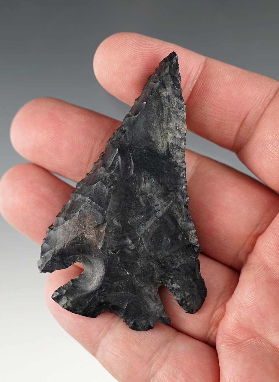 2 7/8" Coshocton Notch Base Dovetail. Found in Delaware Co., Ohio. Heavily Beveled.