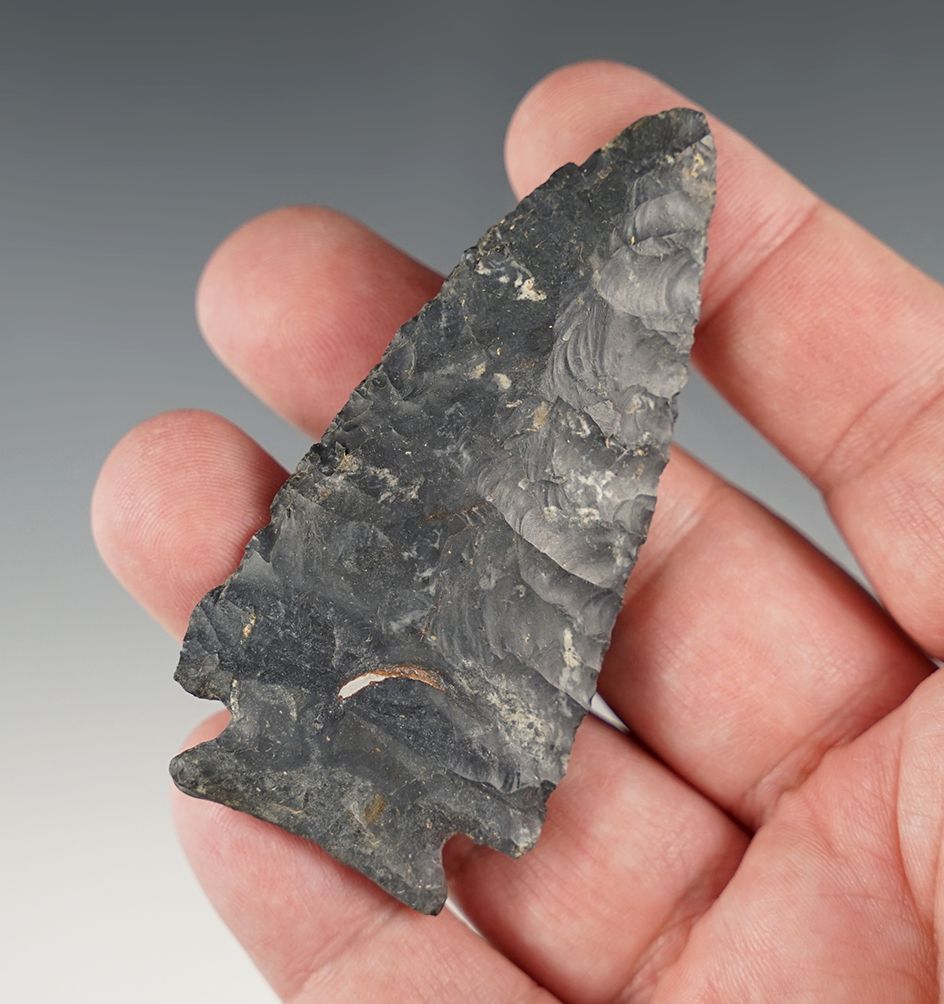 Nice 3" Ohio Decatur Fracture-Base. Has a small impact fracture at the tip.