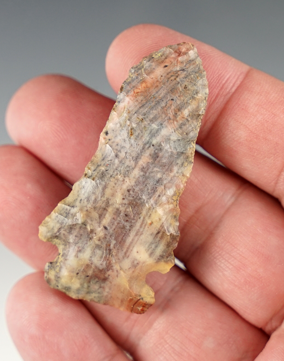 Highly colorful  2 3/16" Ohio Pentagonal point made from Flint Ridge Nethers.