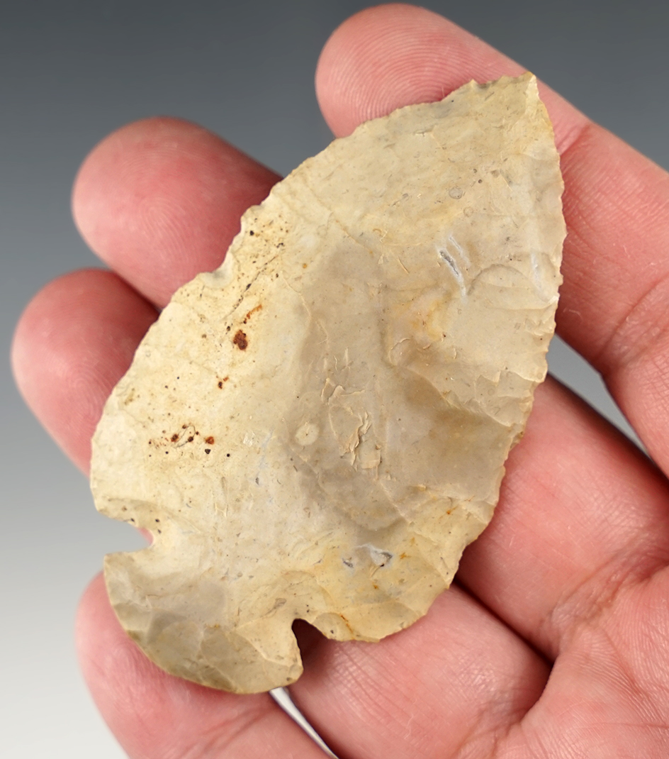 Nice 2 15/16" Dovetail found in Sandusky Co., Ohio. Made from 10 Mile chert.