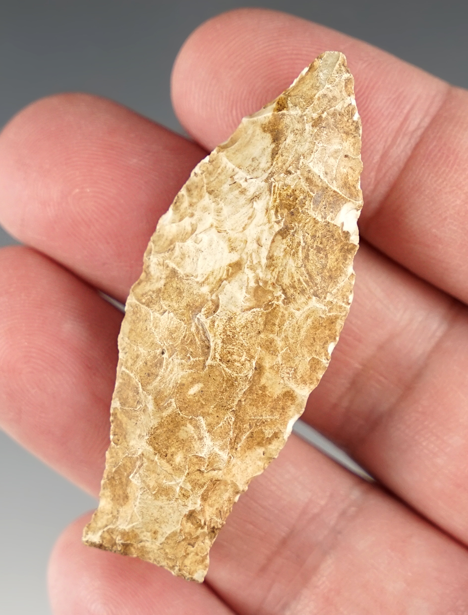 2 1/4" Paleo Beaver Lake made from Burlington Chert. Found in Illinois. Bennett COA.