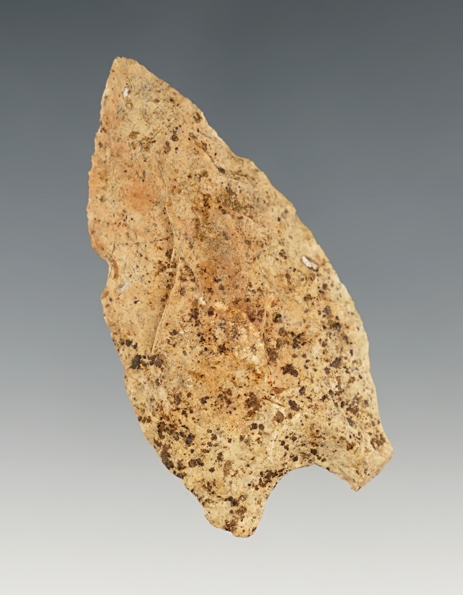 2 1/4" Basal Notch Lanceolate found in Darke Co., Ohio. Ex. Fisher, Frank Meyer collection.