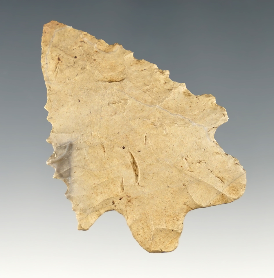 Serrated 2 5/16" MacCorkle found in Delaware Co., Ohio. Ex. Doug Hooks collection.