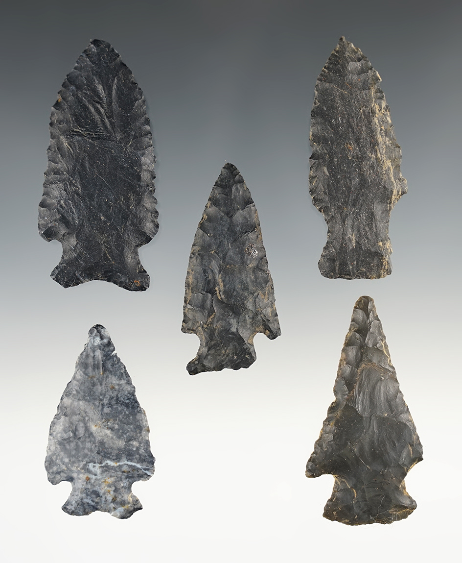 Set of 5 nice Coshocton points found in Ohio. The largest is 2 5/8".