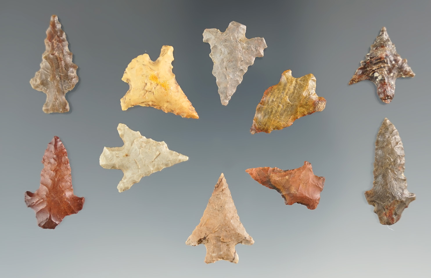 Group of 10 assorted Bird Points found in Angelina Co., Texas.