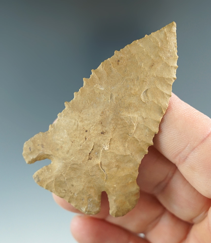 Well styled 2 9/16" Pine Tree - Kentucky. Restoration to both ears. Comes with a Bennett COA.