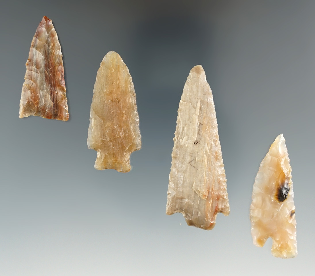 Set of four assorted points found near the Columbia River, largest is 2 13/16".