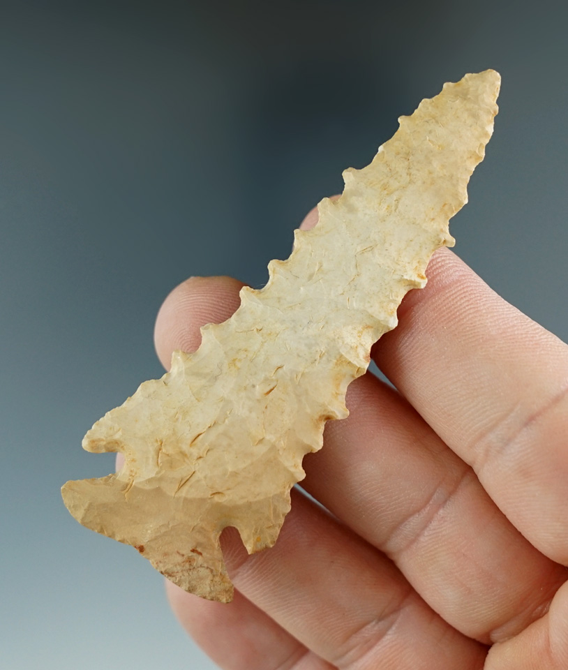 2 7/8" Pine Tree with excellent serrations. Found in Bath Co., Kentucky.  Rogers and Bennett COA's.