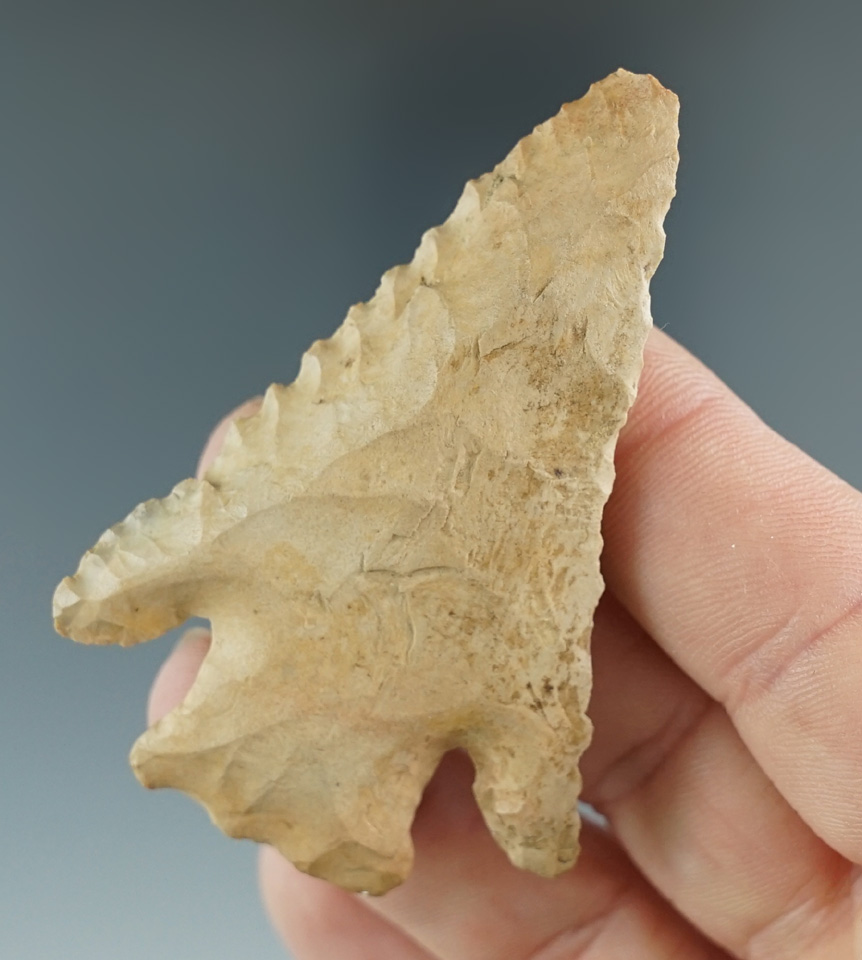 2 1/2" Beveled Hardin found in Illinois.