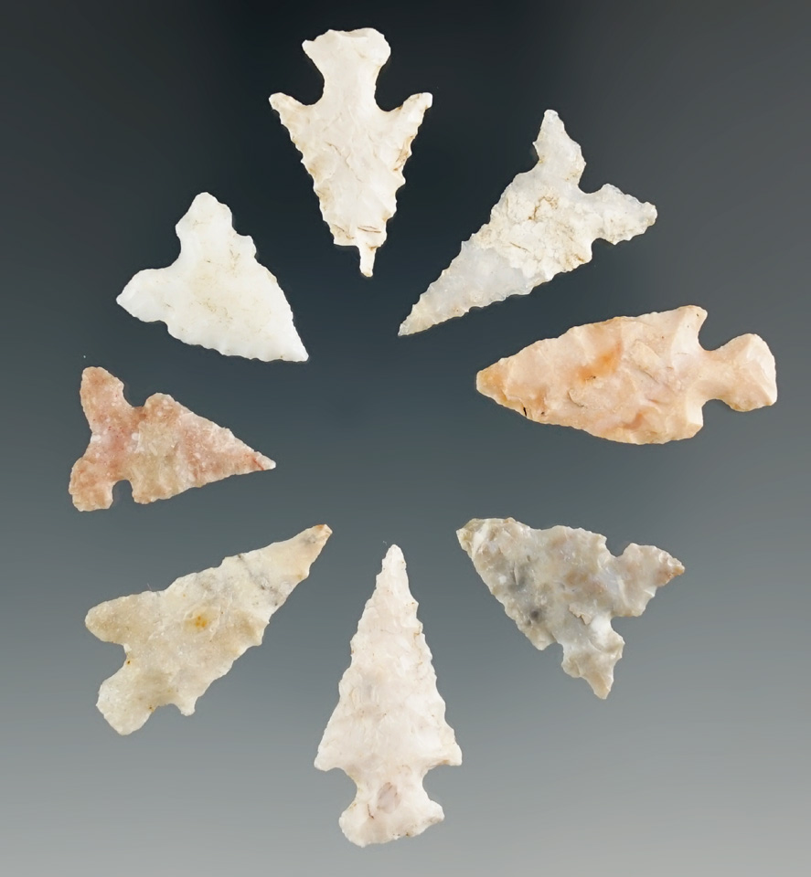 Group of eight Bird Points found in Texas, largest is 1".