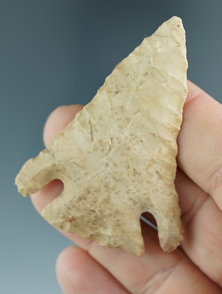 2 1/4" Pine Tree found in Lincoln Co., Kentucky. Ex. Henry English Collection.