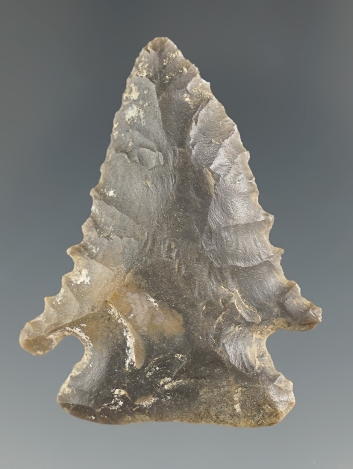 1 11/16" Pine Tree Point found in Kentucky. Ex. Henry English Collection.