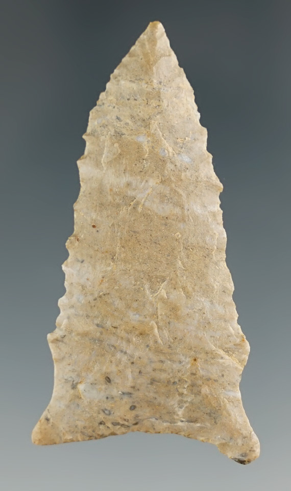 2 1/16" Greenbrier with excellent flaking found in Scott Co., Kentucky. Ex. Henry English Collection
