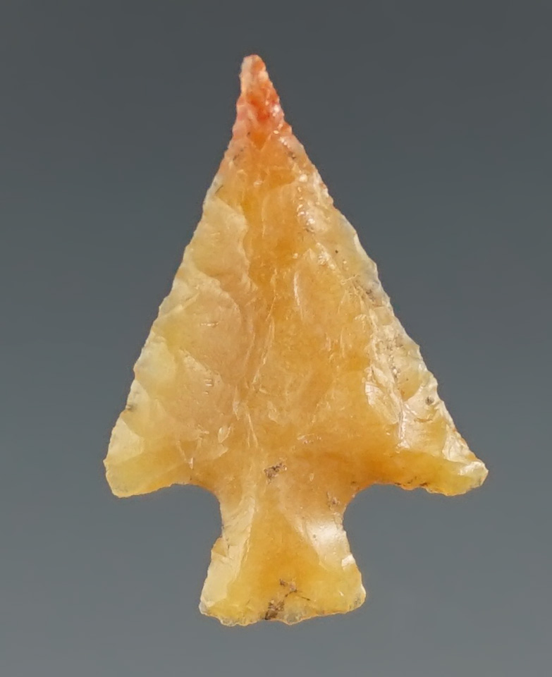 13/16" Columbia found near the Columbia River. Bennett and Stermer COA's.