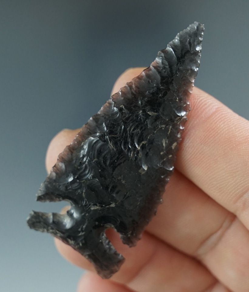 Beautiful flaking 2 1/4" Northern Sidenotch made from Obsidian. Harney Co., Oregon.  Bennett COA.