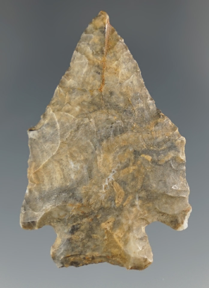 1 13/16" Classic style Pentagonal Point found in Tennessee. Ex. Henry English Collection.