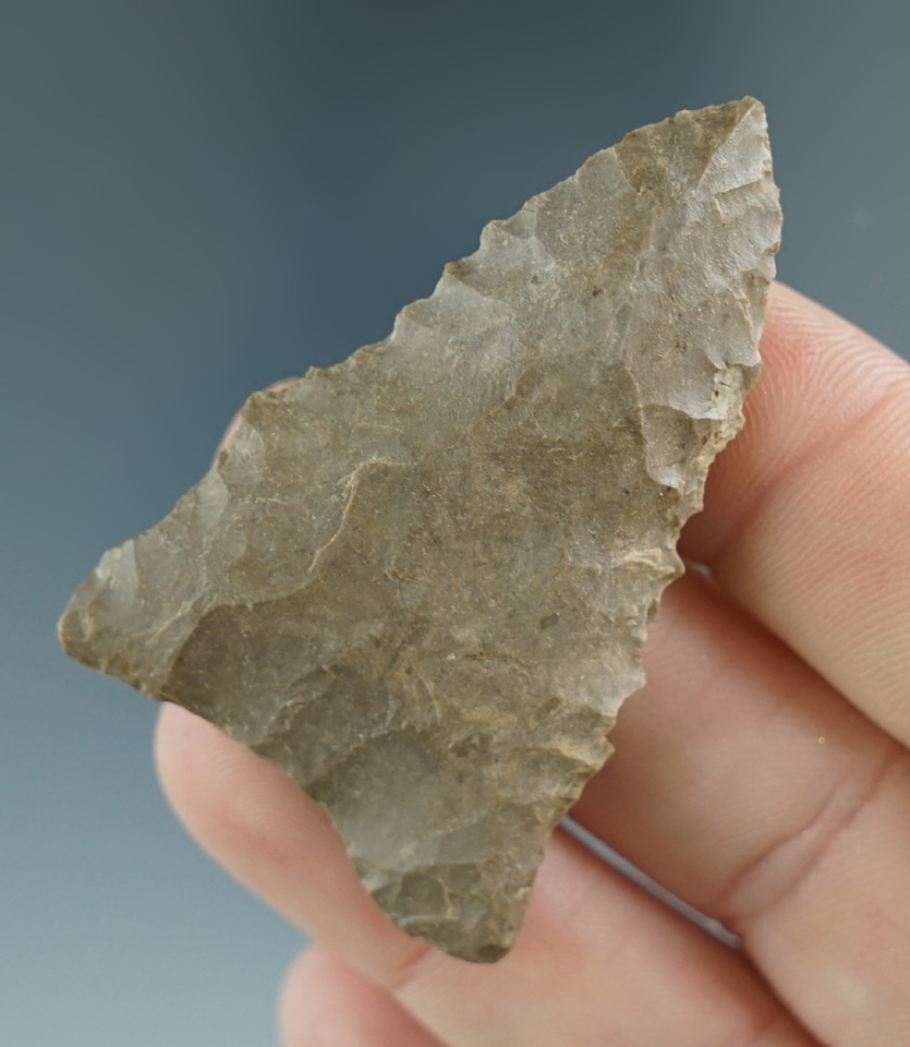 2 1/8" Dalton made from Ft. Payne Chert, found at the Hard Rock Site, Stewart Co., Tennessee. COA.