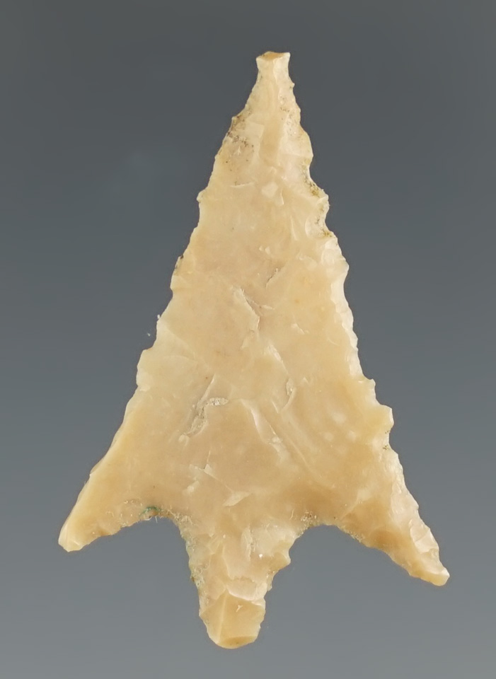 1 3/16" Perdiz found by Steve Logsdon in Walker Co., Texas. Comes with a Bennett COA.