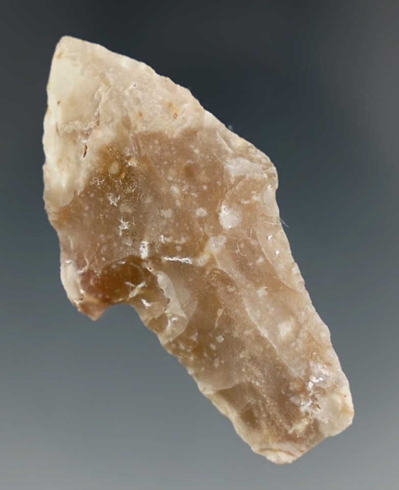 2 1/8" Lake Mohave found in Texas. Comes with a Davis COA.