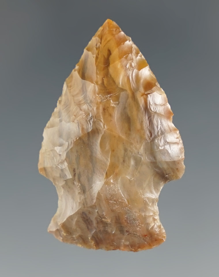 1 7/16" Cold Springs - Agatized Wood, found near the Columbia River, Washington.  Bennett COA.