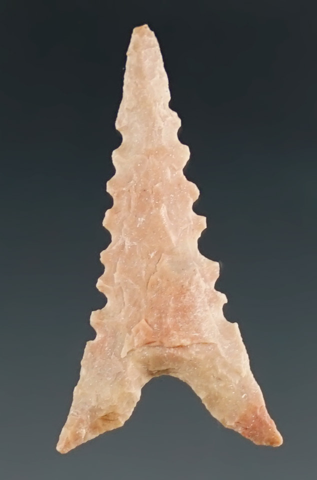 1 3/16" Garza that is well made from pink Chert, found in West Texas. Comes with a Rogers COA.